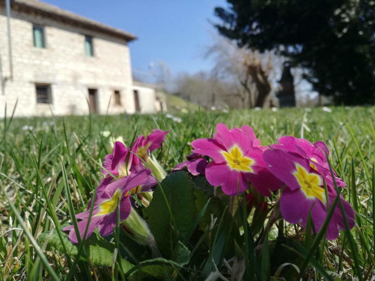 Casa Sponge B&B Pergola Dış mekan fotoğraf